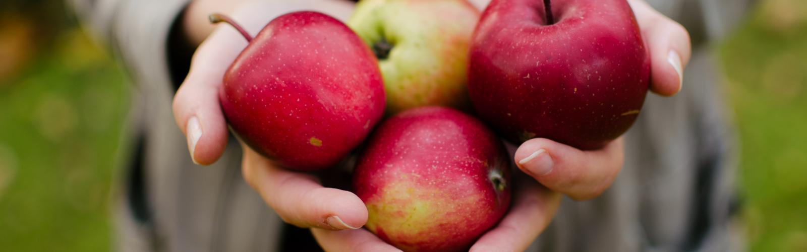 Conceit atoom mode Steeds meer goesting in lokale appels | MVO Vlaanderen