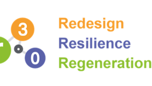 logo r3.0