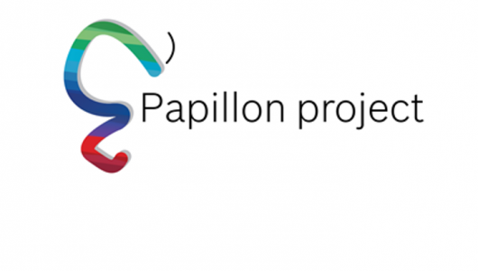 logo Papillon project