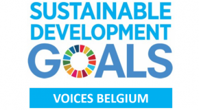 logo SDG Voices