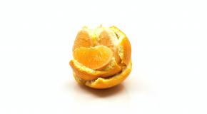 citrusvrucht