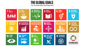 The Sustainable Develoment Goals