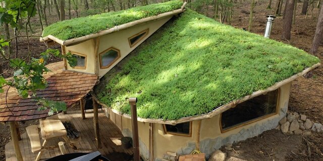 Groene daken